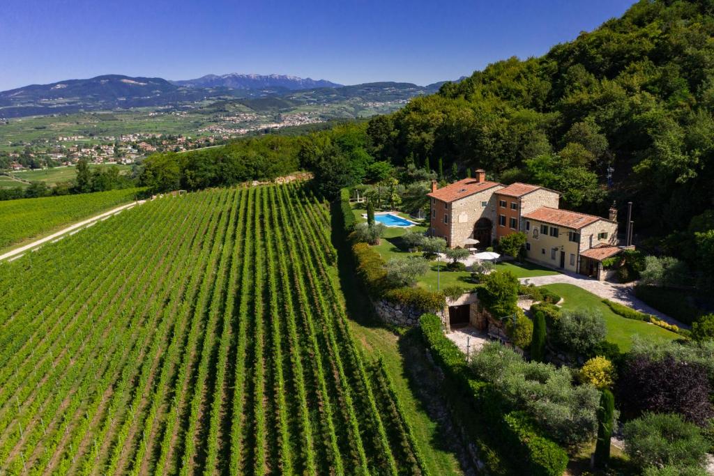 内格拉尔Villa Vitis的享有房子和葡萄园的空中景致