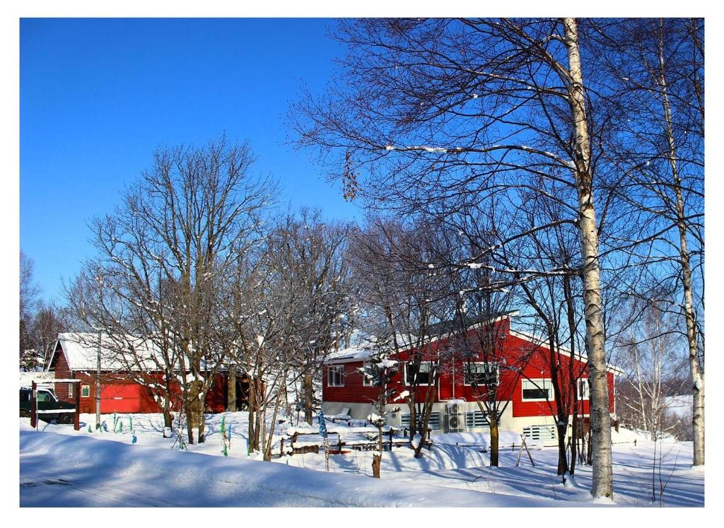 美瑛町カフェロッジ Touch Wood的树旁雪中的一个红色房子