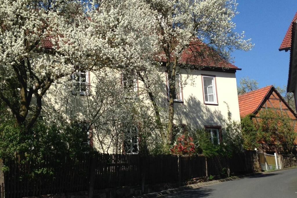 WartmannsrothLiebevolles, altes Schulhaus im Vintage Stil的 ⁇ 前有树木的白色房子