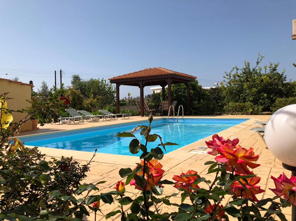 佩亚Peyia Villas Cyprus的一个带凉亭和一些鲜花的游泳池