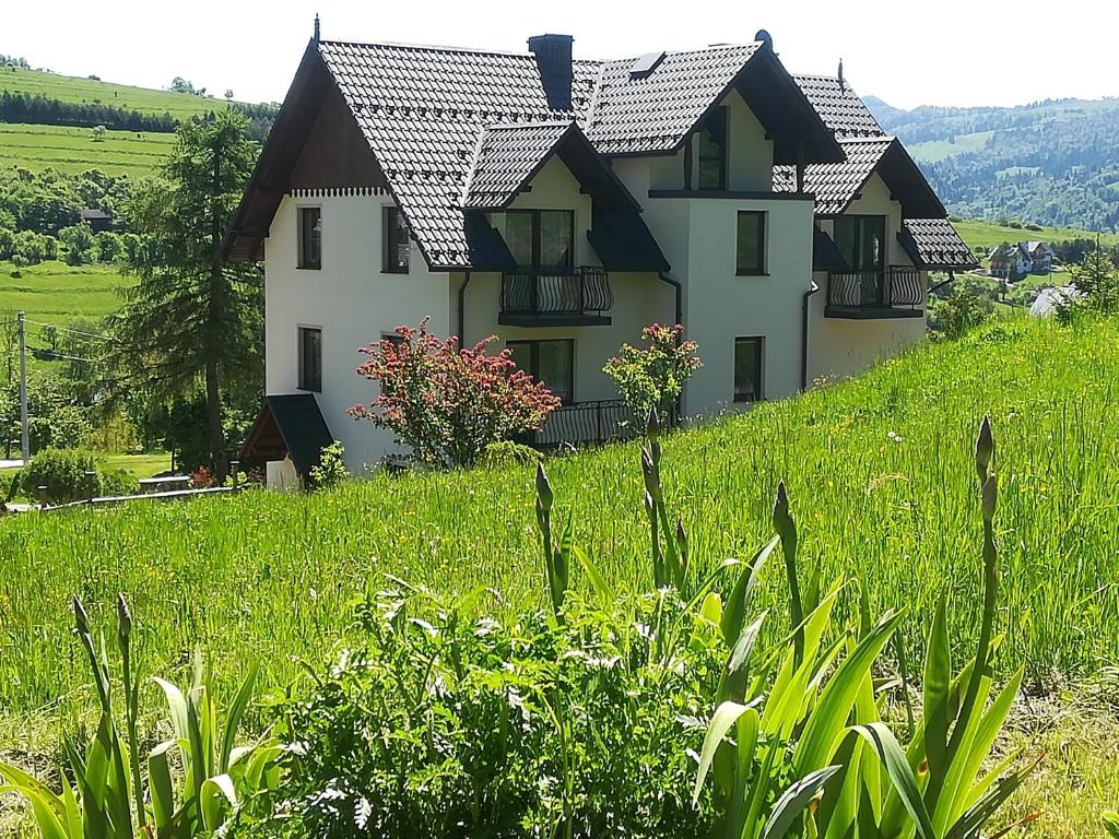 什恰夫尼察Willa Bańkoszówka的山丘上带绿地的房子