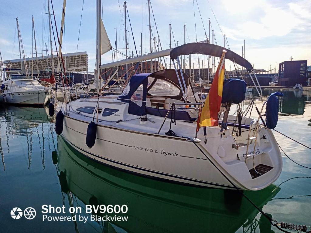 巴塞罗那Boat House Barcelona的船停靠在港口的水中
