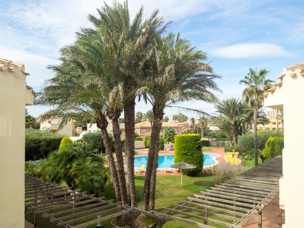 拉曼加戴尔马尔梅纳拉曼加别墅公寓酒店的一组棕榈树,毗邻一个游泳池