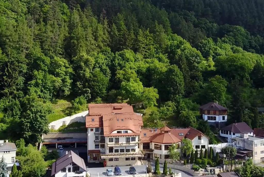 布拉索夫科尔平酒店的高山度假胜地的空中景观