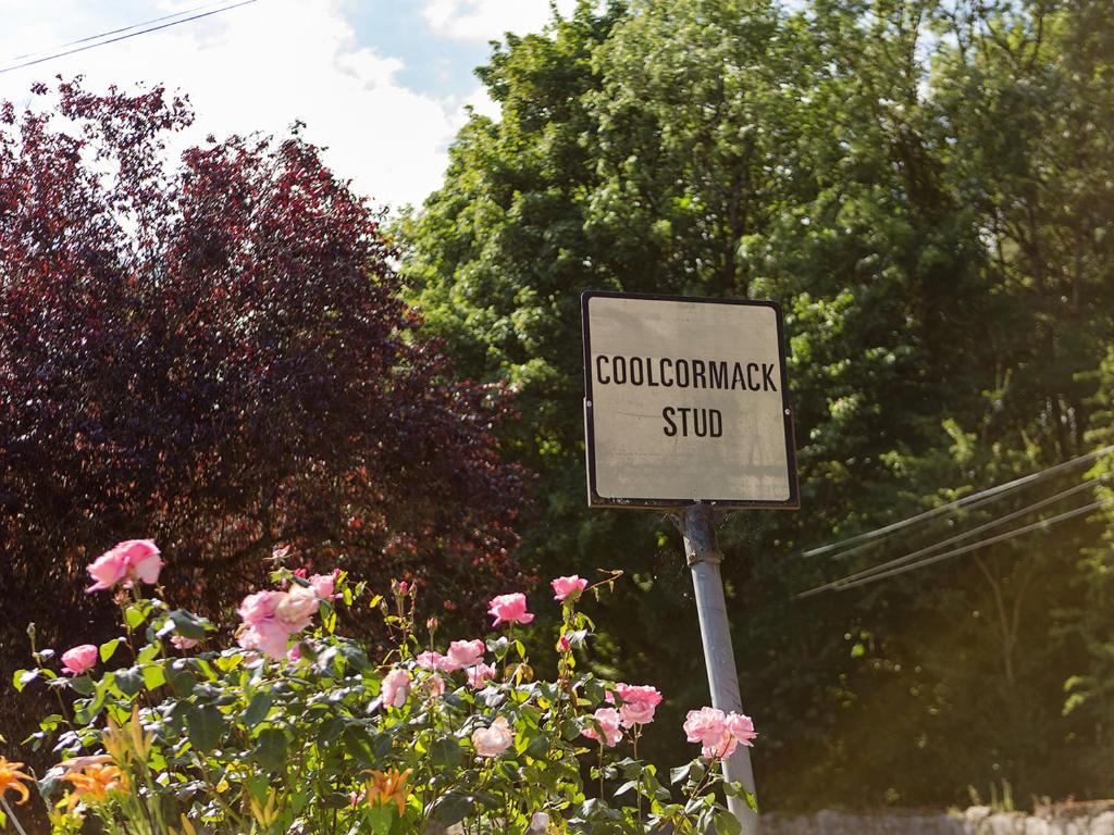 沃特福德Coolcormack Stud B&B的花园里的粉红色玫瑰花标牌