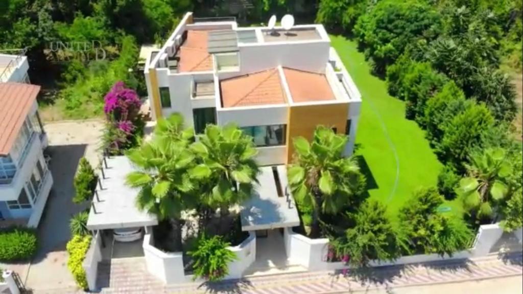 凯麦尔Villa Diva的棕榈树房屋的空中景致
