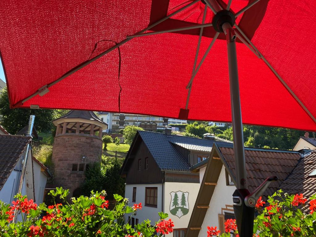 巴特维尔德巴德蒂洛旅馆的几所房子前面的红伞