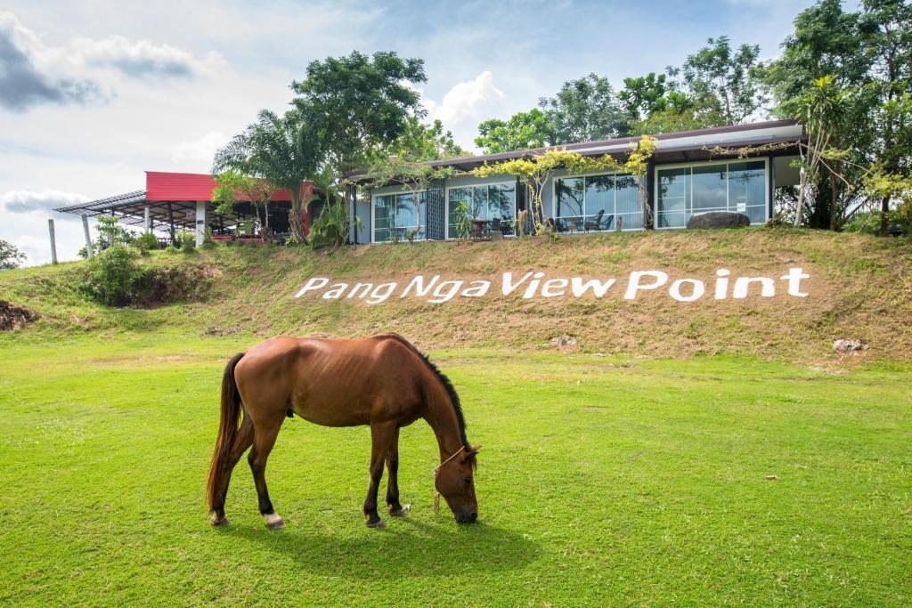 攀牙Phang Nga Viewpoint的牧场上的马在房子前面放牧