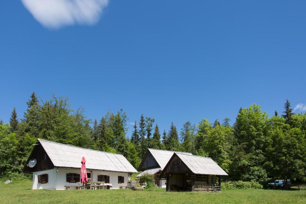 Srednja Vas v BohinjuMountain house MINKA的田野中的谷仓和房子