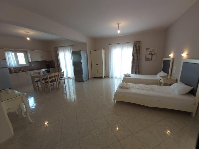 阿穆迪亚Konstantinos Apartments的带沙发的大客厅和厨房