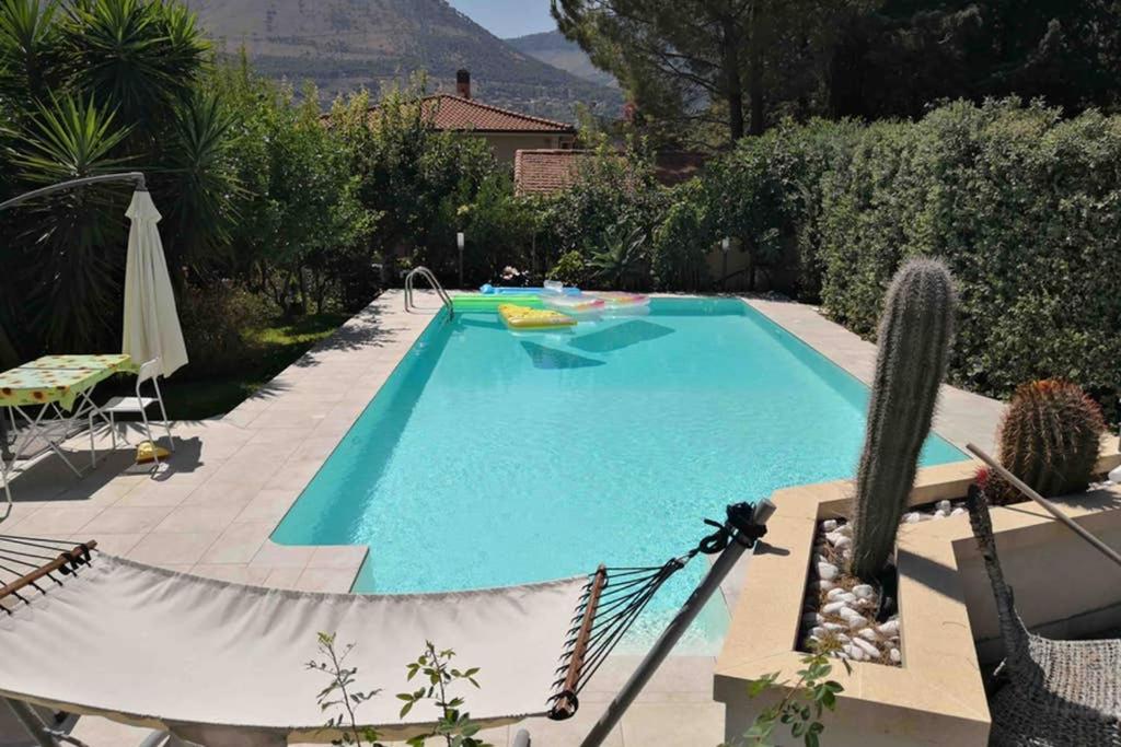 蒙雷亚莱Villa Tiziana的后院的游泳池,有仙人掌