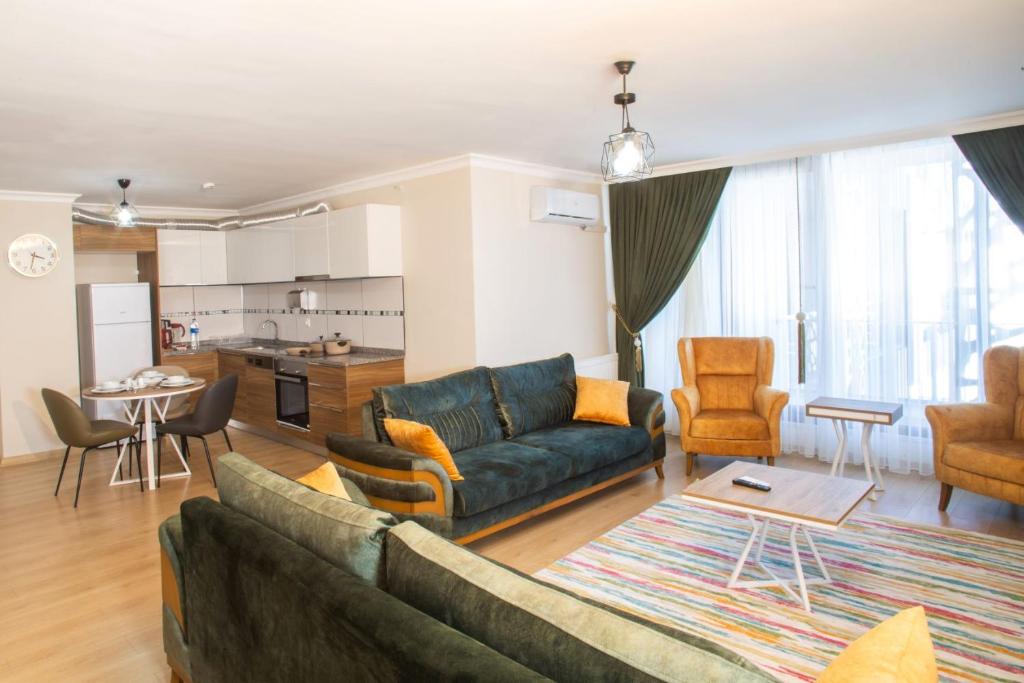 伊斯坦布尔Emin Residence的带沙发的客厅和厨房