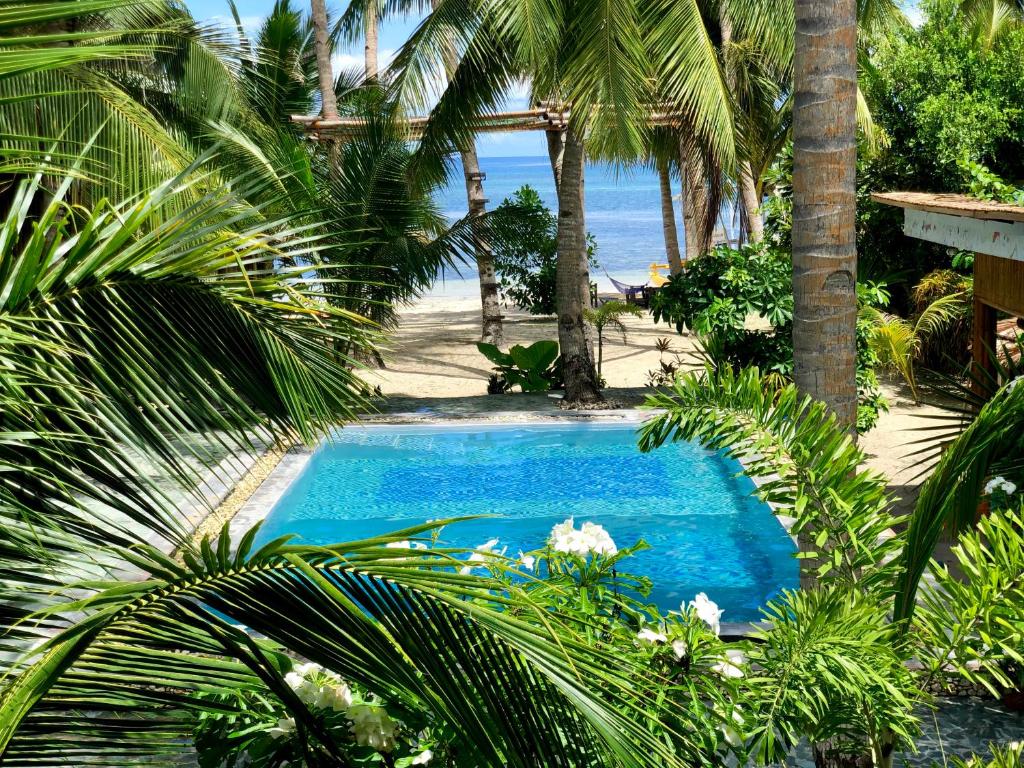 圣胡安Apo Diver Beach Resort的海滩旁的蓝色小游泳池