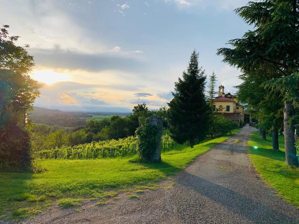 PontesturaAgriturismo Cascina Smeralda的通往葡萄园房子的土路