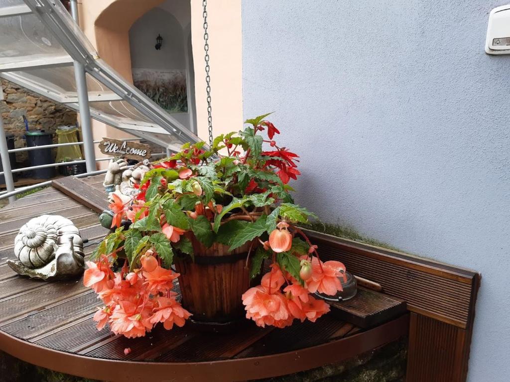 斯米扎尼索鲁多斯-斯皮斯基卢维多姆旅馆的花盆坐在桌子上,花朵