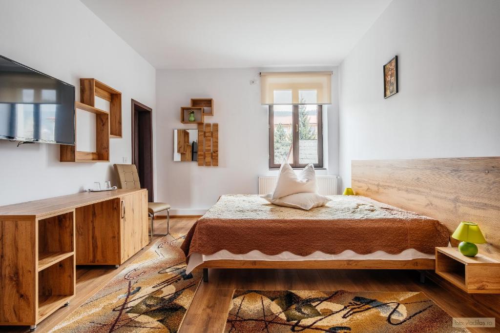 古拉哈莫卢洛伊Hotel Carpati的一间卧室配有一张床和一台电视。
