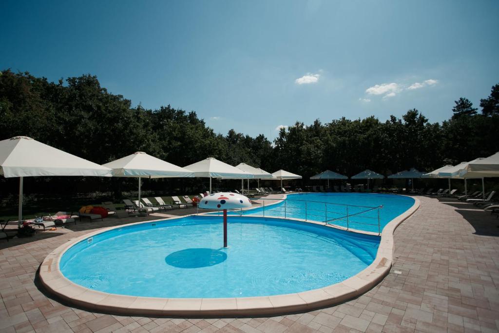 OrlovshchinaForrest Park&Resort的一个带白色遮阳伞和椅子的大型游泳池