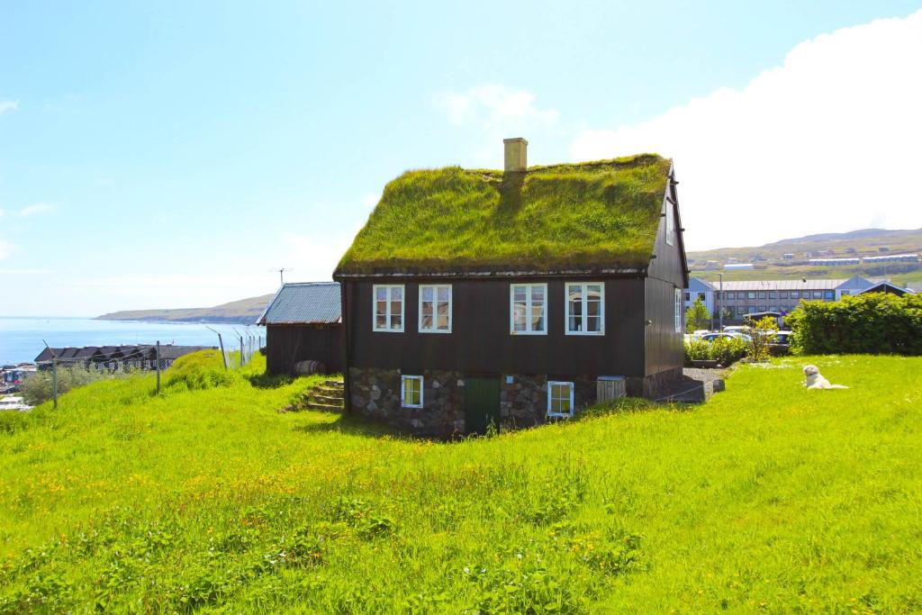 托尔斯港Traditional Faroese house in Tórshavns city center的绿色田野上带草屋顶的老房子