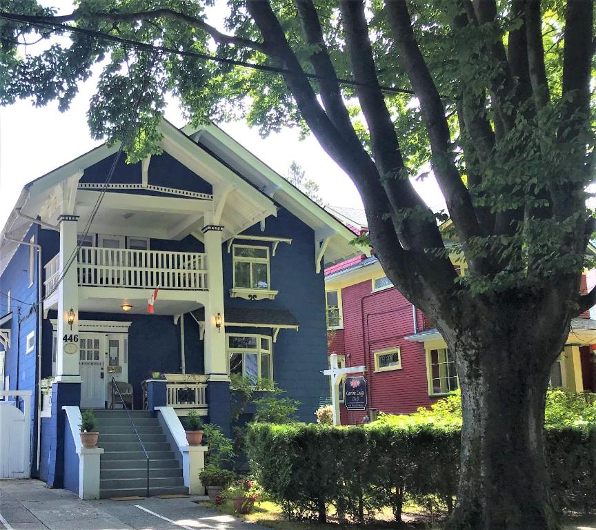 温哥华甘比山林小屋的一座色彩缤纷的房子,前面有一棵树