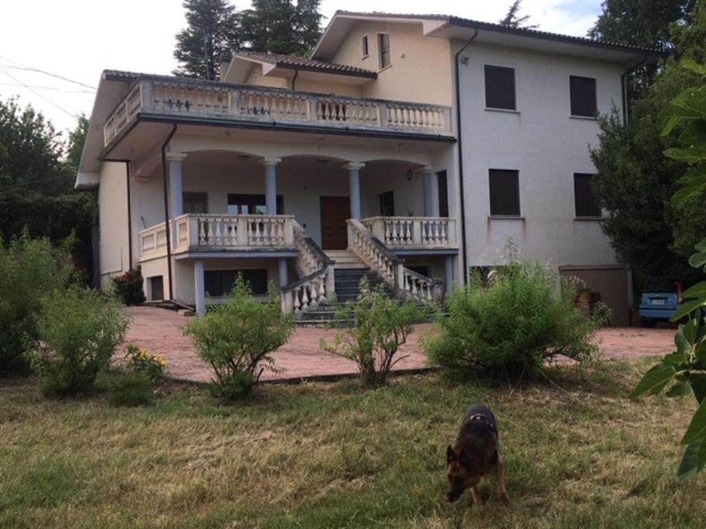 RapinoVilla di Nonno Remo的站在房子前面的草地上的狗