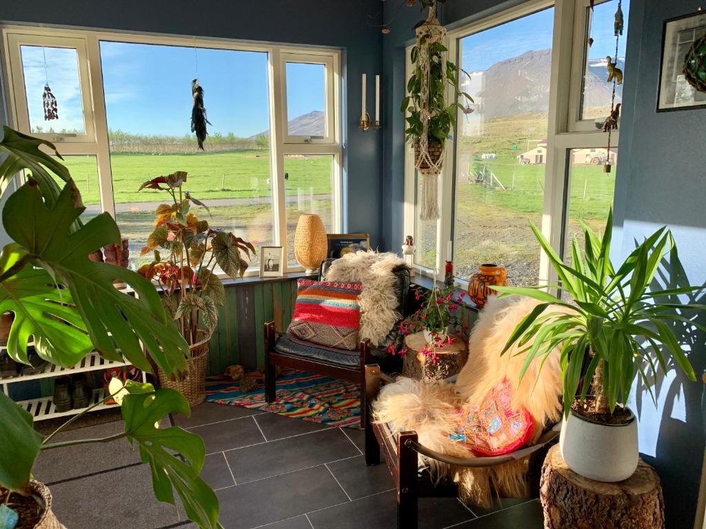 瓦玛里德Frostastaðir Guesthouse的客厅里种有植物,配有沙发和窗户