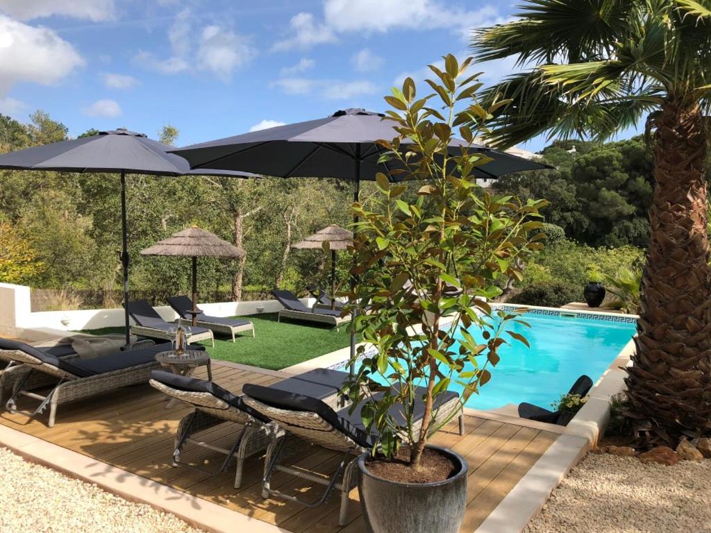 贝纳吉Casa Sereno的一个带椅子和遮阳伞的游泳池,一个棕榈树