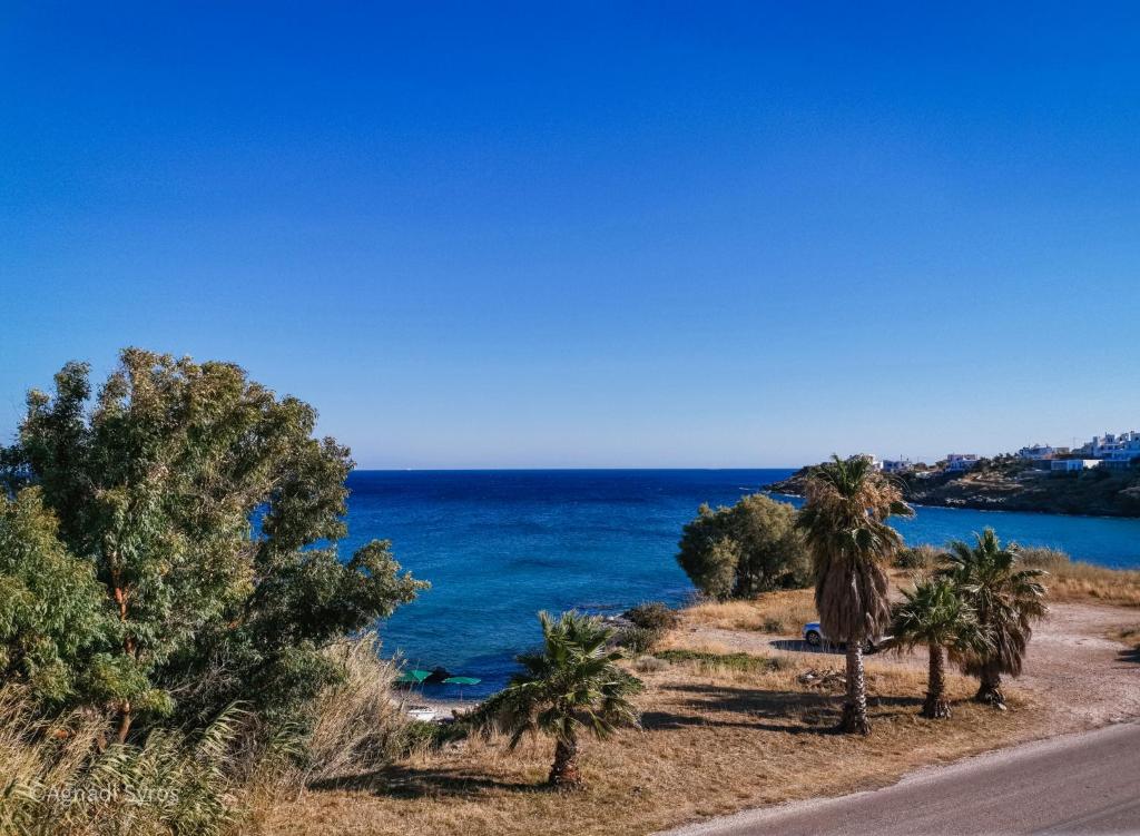 梅加斯·亚洛斯-奈特斯Agnadi Syros Beachfront Studios & Rooms的一条棕榈树旁的海边道路