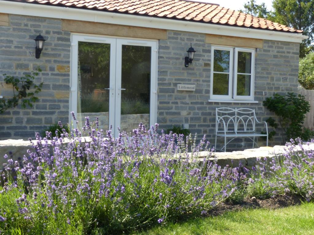 格拉斯顿伯里Littlemead - Newly renovated private studio near Glastonbury的一座花园,在房子前面种有紫色的花朵