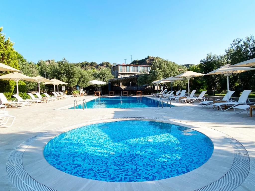 贝拉姆卡尔阿索斯公园酒店的一个带椅子和遮阳伞的大型游泳池