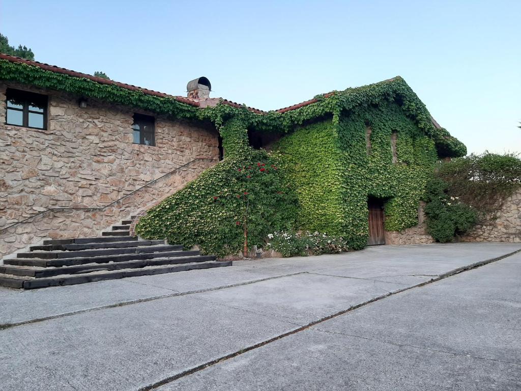 里奥帕尔Cibanto de las Maravillas的常春藤覆盖的楼房,有楼梯和门