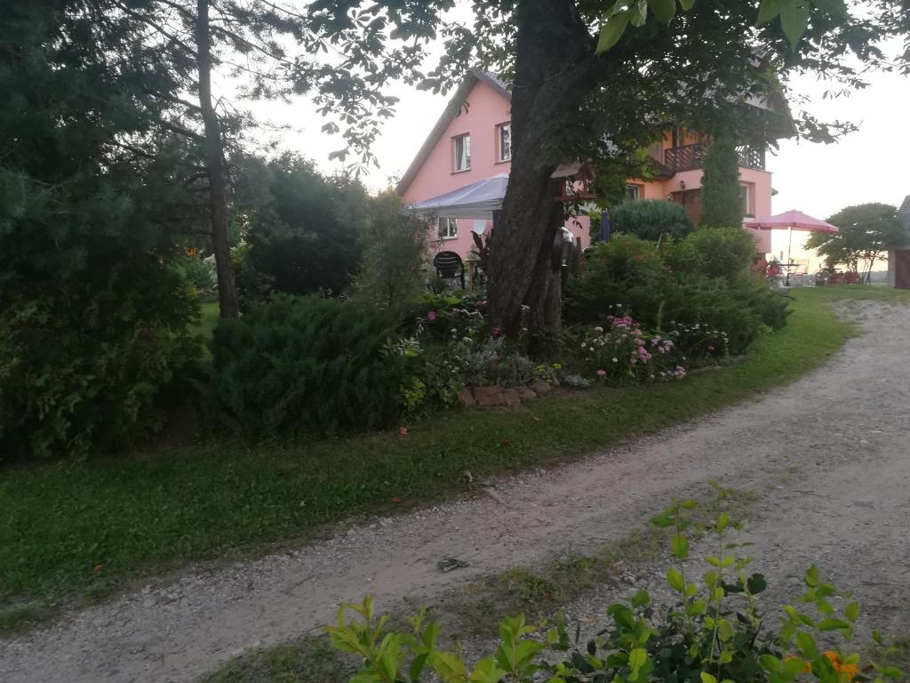 BurniszkiAgroturystyka u Basi的一条有树和土路的粉红色房子