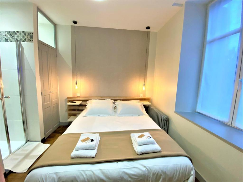 昂热Appartements Rue Sarret XXL的一间卧室配有带毛巾的床