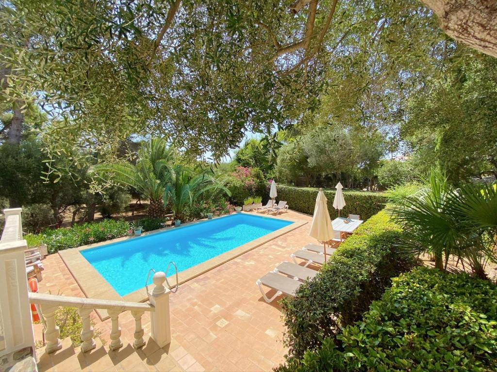 桑特柳伊斯Boscimar的庭院内的游泳池,带椅子和树木