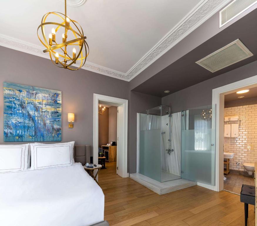 伊斯坦布尔Petros Hotel的一间卧室配有一张床、淋浴和吊灯。