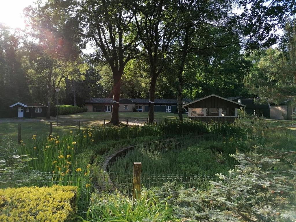 尤尔森Waldjugendherberge Uelsen的一个带围栏、树木和房屋的花园