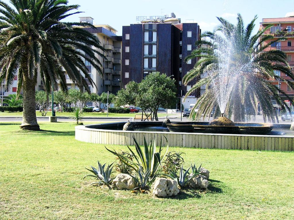 索威拉托玛里纳Hotel Nettuno的两棵棕榈树公园里的喷泉