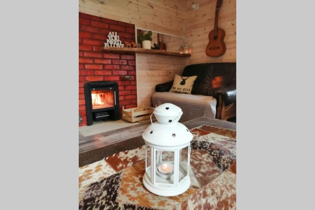 LieplaukėCharming Sauna Cottage in a Horse Ranch的带沙发和壁炉的客厅