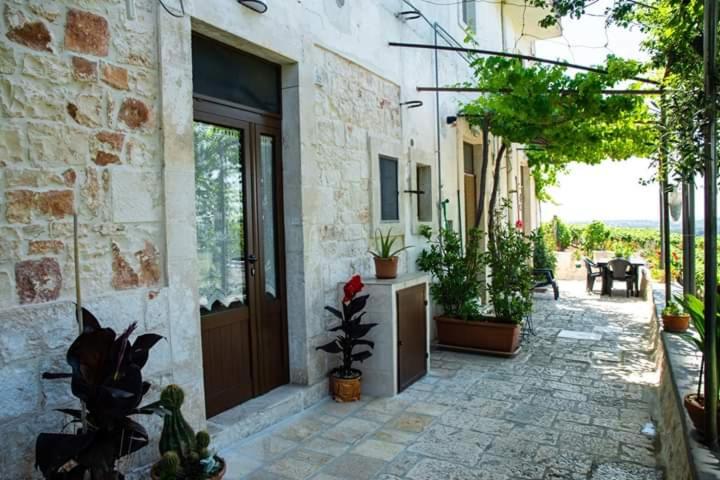 洛科罗通多Belvedere的种植了盆栽植物的庭院和设有门的建筑