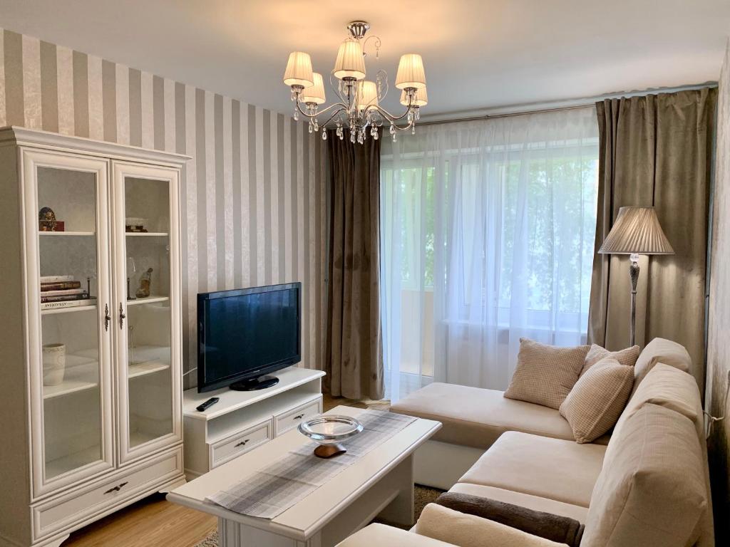 马热伊基艾Venta apartament的带沙发和电视的客厅