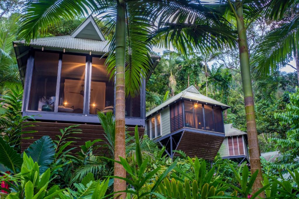 丹特里Daintree Ecolodge的棕榈树丛林中的房屋