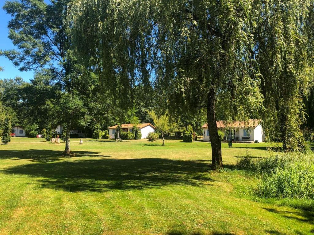 VaraignesL'étang des Mirandes的田野中的一棵树,房子在后面