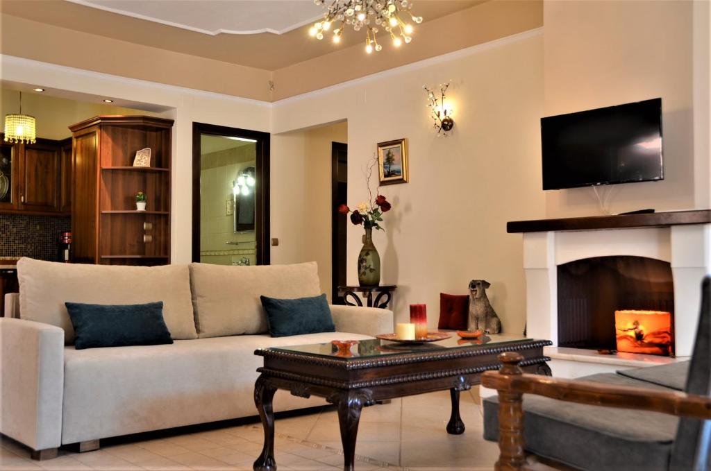 帕尔加Pagiatakis Suites的带沙发和壁炉的客厅