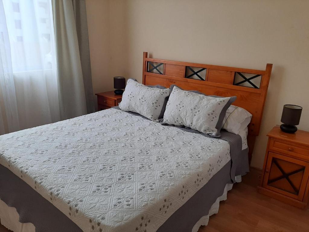 安托法加斯塔Departamento Amueblado的一间卧室配有一张带木制床头板和枕头的床。
