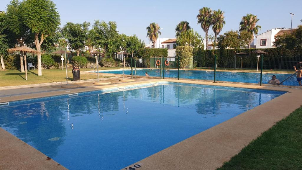埃斯帕尔蒂纳斯Apartamento EL REAL - Espartinas - SEVILLA的棕榈树公园里的一个大型蓝色游泳池