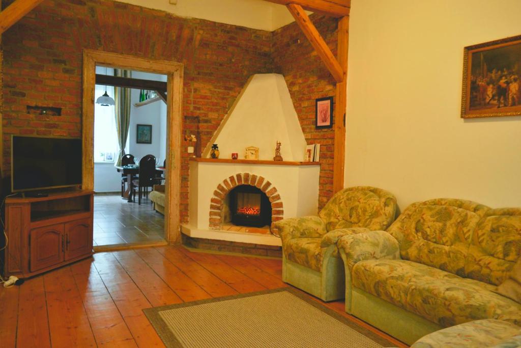 特普利采Apartment House Maestro Teplice的带沙发和壁炉的客厅