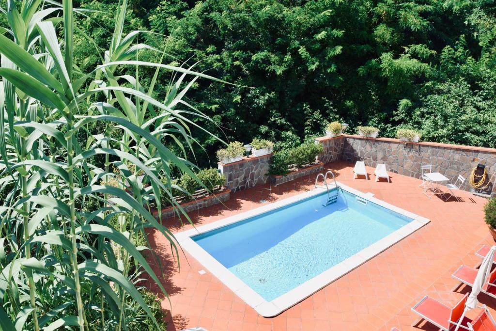 特拉蒙蒂Campinola Holiday Home PRIVATE POOL的花园游泳池的顶部景色