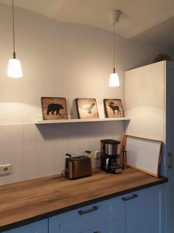 施维洛赫塞Ferienhof Mochowsee的厨房配有带烤面包机和部分照明的台面
