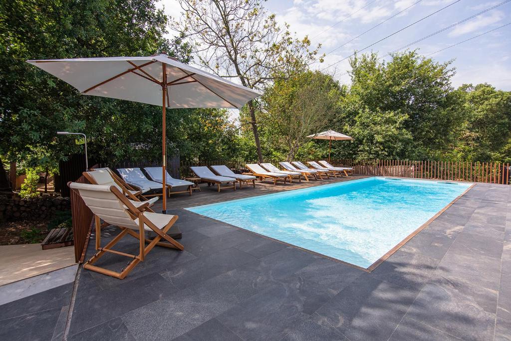 加亚新城Quinta do Pedregal Hotel & Spa的一个带躺椅和遮阳伞的游泳池