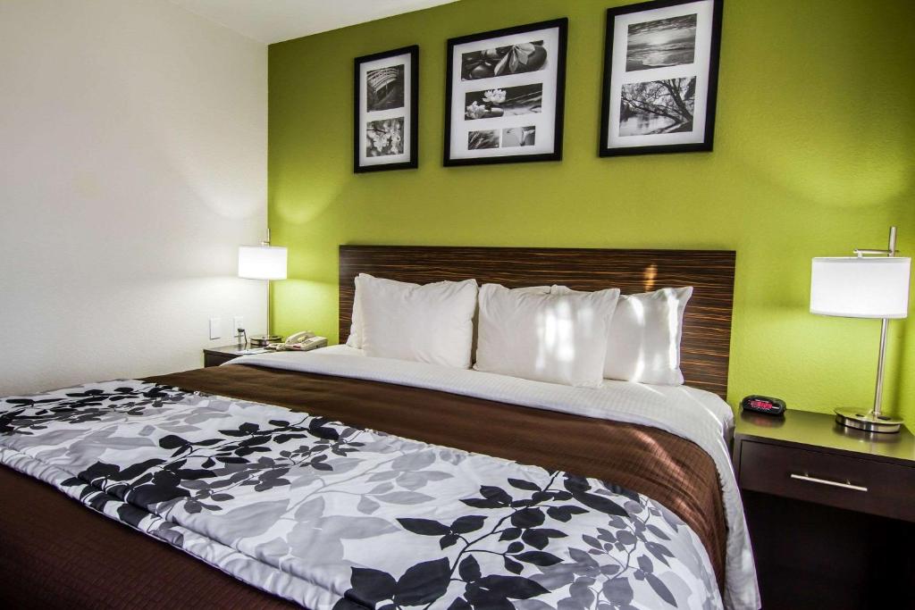 盖洛普盖洛普酒店的一张位于酒店客房的床位,设有绿色的墙壁