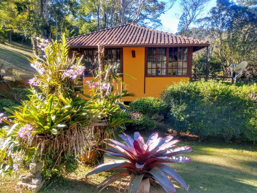 卢米亚Chalé - Loft Charmoso e aconchegante na montanha - Rio Bonito de Lumiar,RJ的一座黄色的小房子,前面有植物